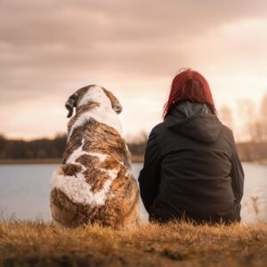 Cómo mejorar tu bienestar emocional con pequeñas acciones diarias