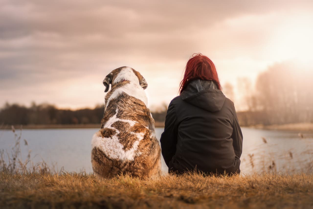 En este momento estás viendo Cómo mejorar tu bienestar emocional con pequeñas acciones diarias